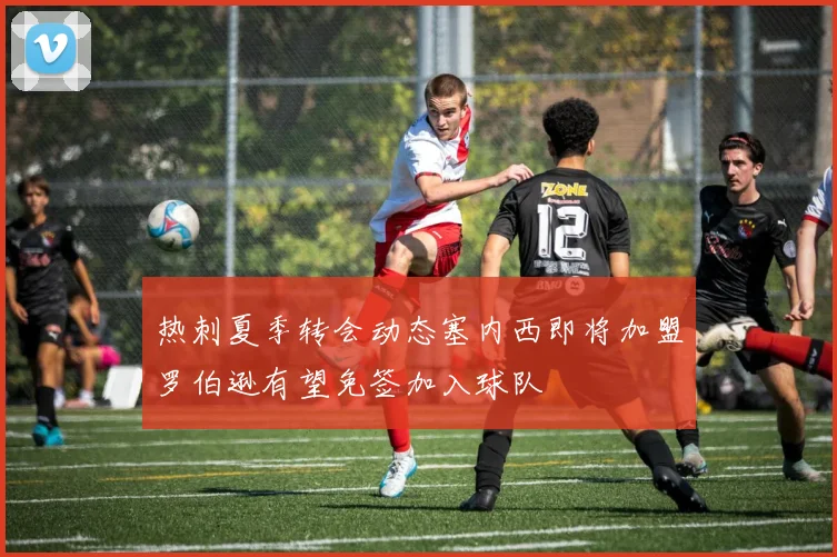 热刺夏季转会动态塞内西即将加盟罗伯逊有望免签加入球队