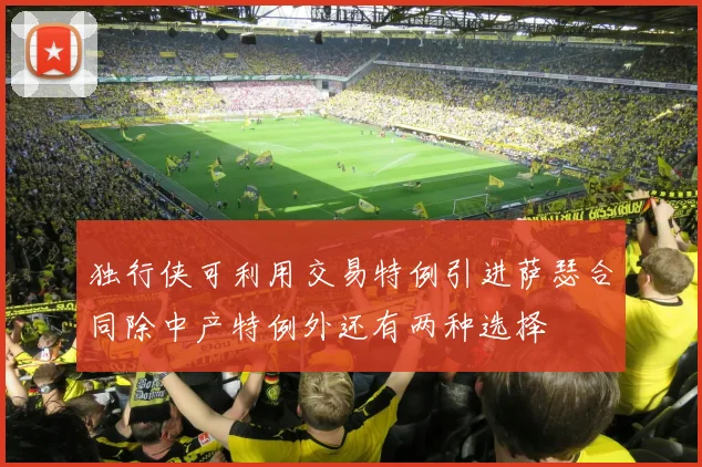 独行侠可利用交易特例引进萨瑟合同除中产特例外还有两种选择
